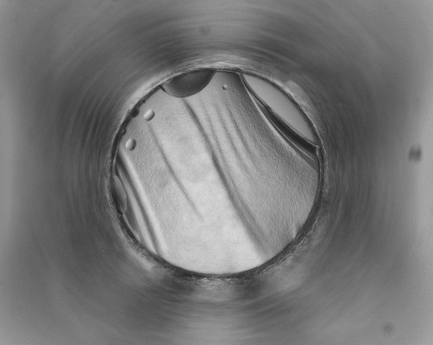 X0000090630850200708141433