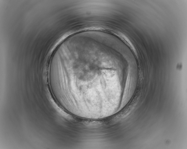 X0000090630851200708141433