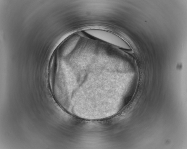X0000090630852200708141433