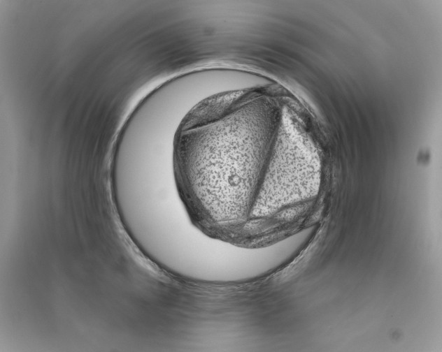 X0000090630854200708141433