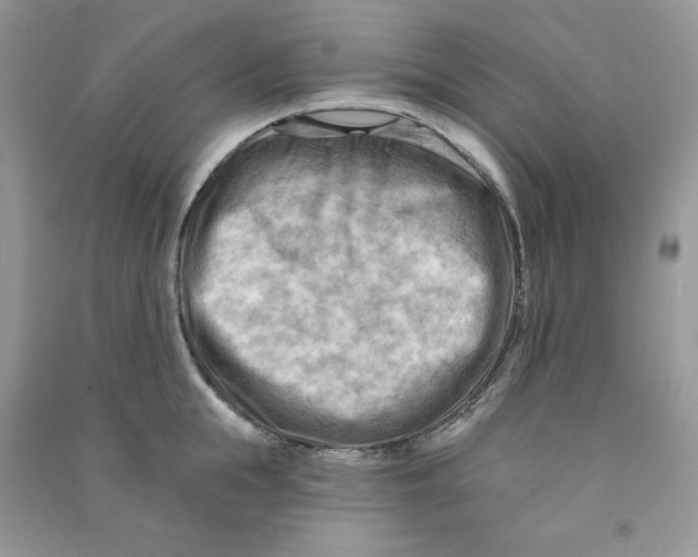 X0000090630855200708141433