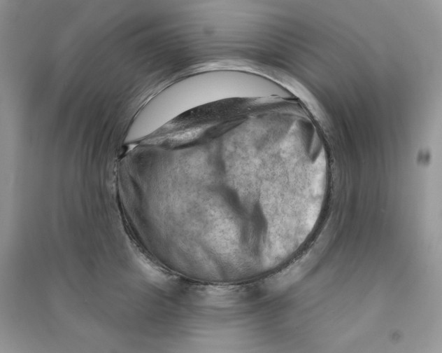 X0000090630857200708141433