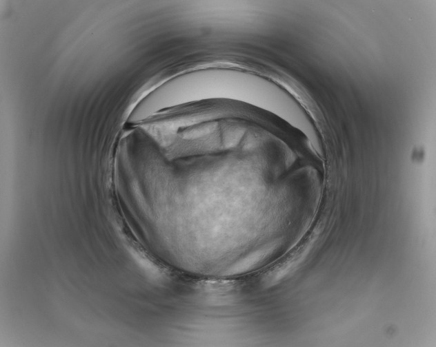 X0000090630858200708141433