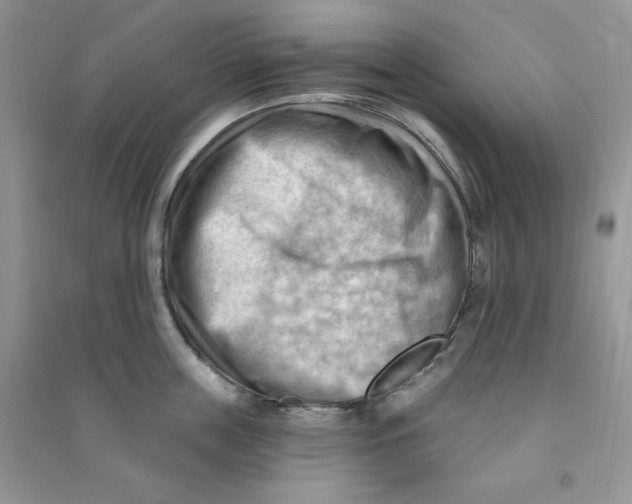 X0000090630859200708141433