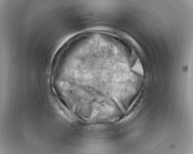 X0000090630860200708141433