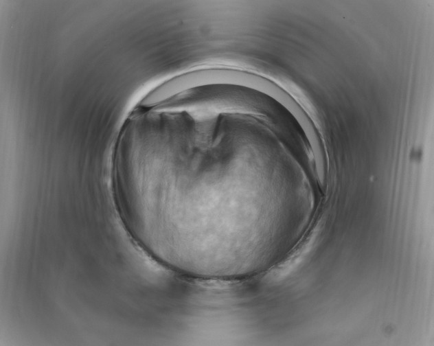 X0000090630862200708141433