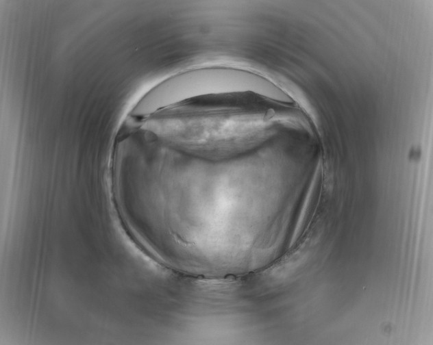 X0000090630863200708141433