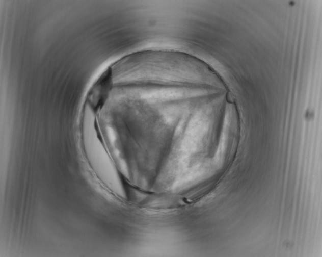 X0000090630864200708141433