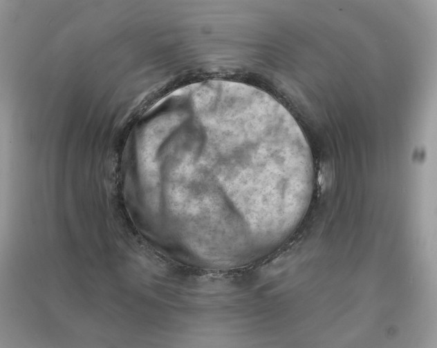 X0000090630867200708141432