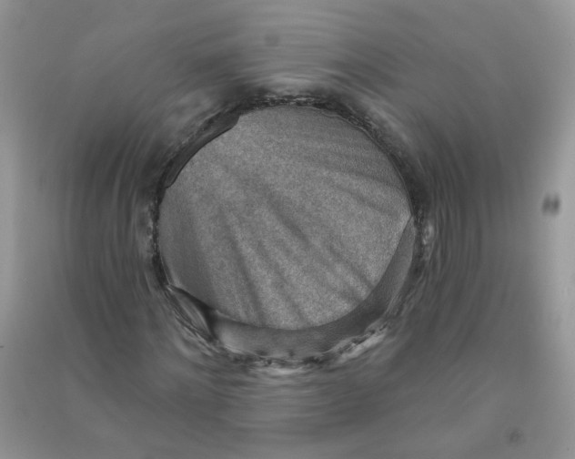 X0000090630868200708141432