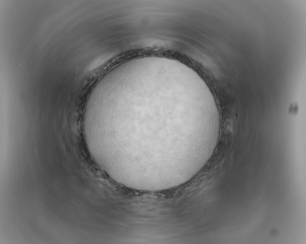 X0000090630869200708141432