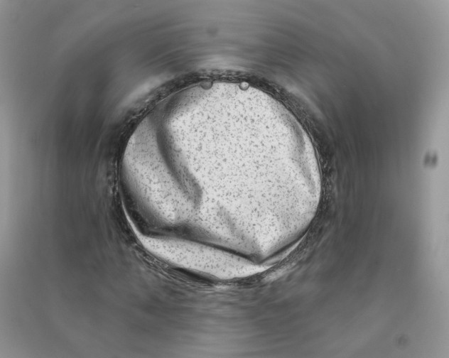 X0000090630870200708141432
