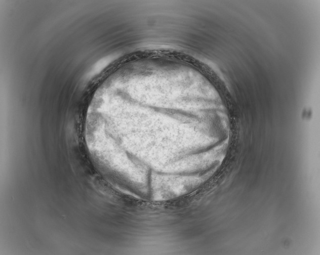 X0000090630871200708141432