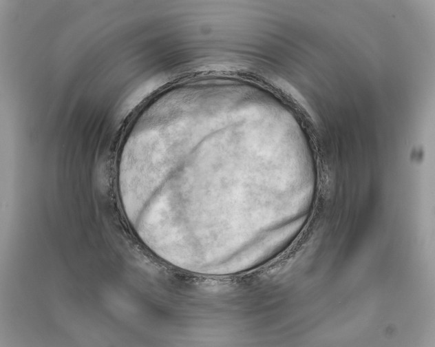 X0000090630874200708141432