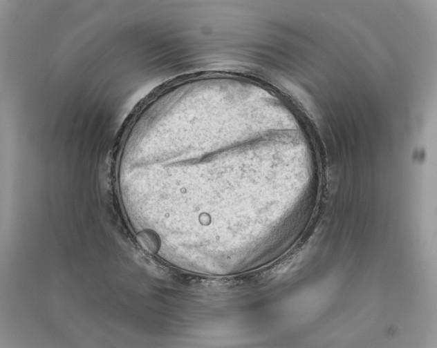 X0000090630875200708141432