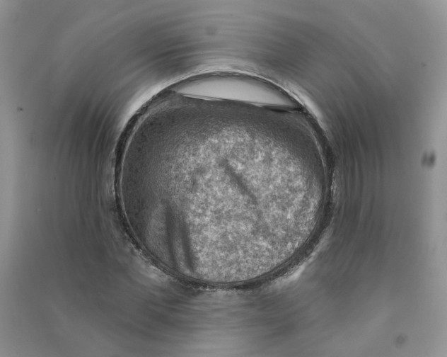 X0000090630877200708141432