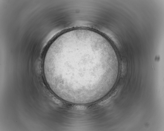 X0000090630878200708141432