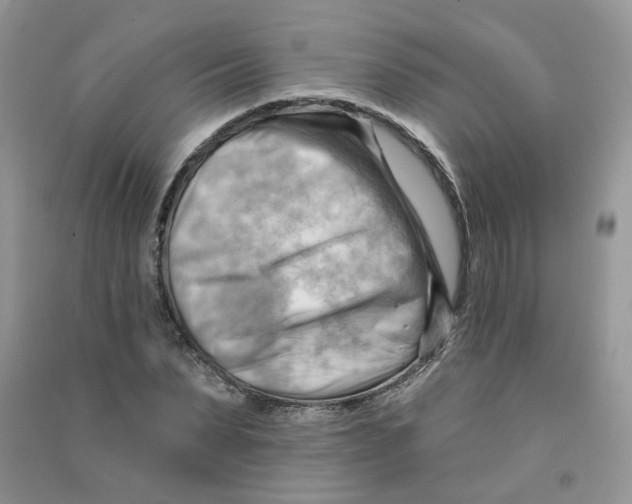 X0000090630879200708141432