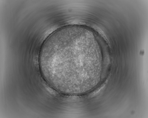 X0000090630881200708141432