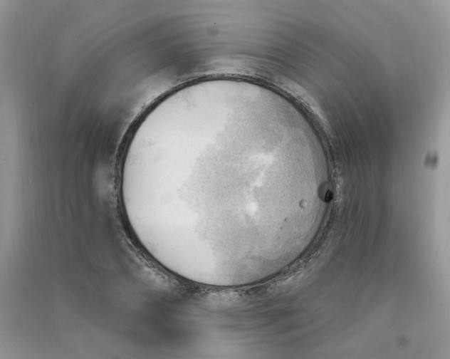 X0000090630882200708141432