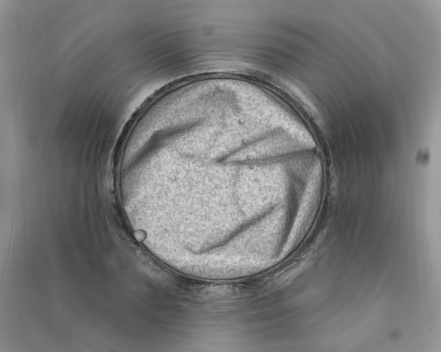 X0000090630883200708141432