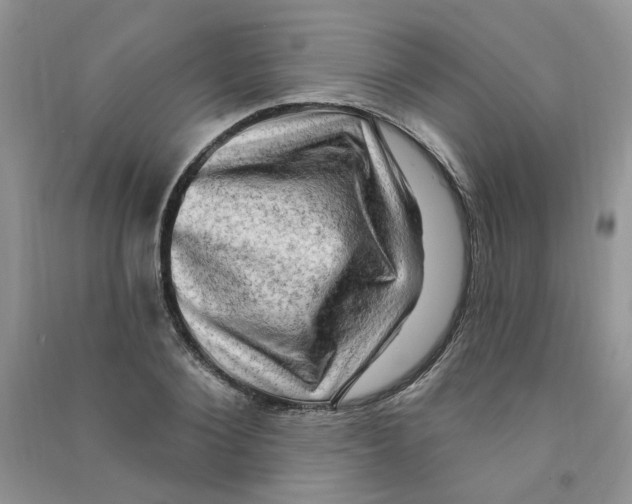 X0000090630884200708141432