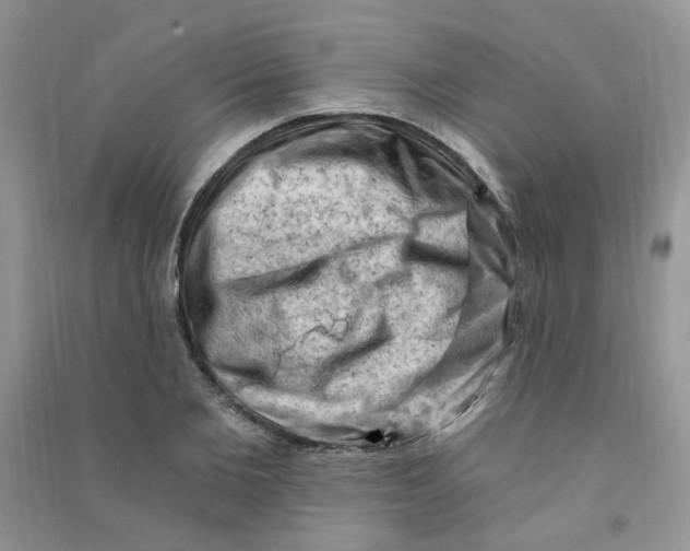 X0000090630885200708141432