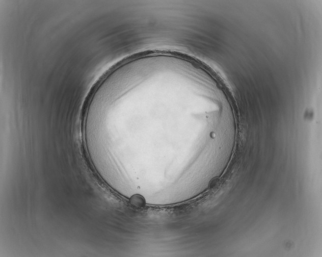 X0000090630887200708141432