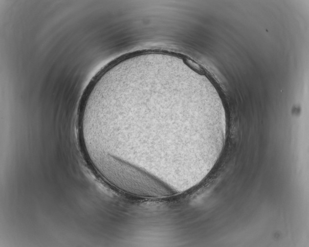 X0000090630888200708141432