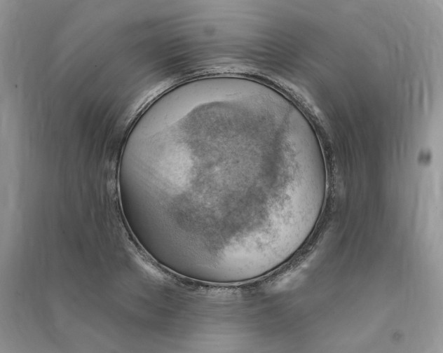 X0000090630889200708141432