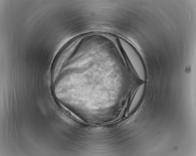 X0000090630891200708141432
