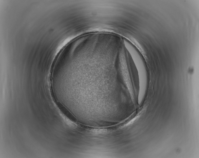 X0000090630893200708141432