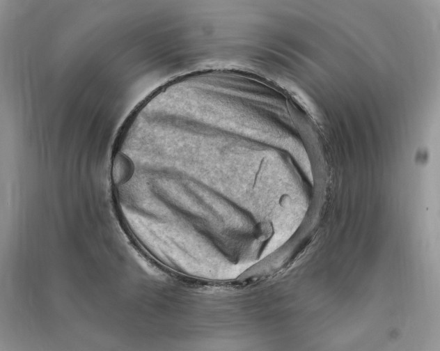 X0000090630894200708141432