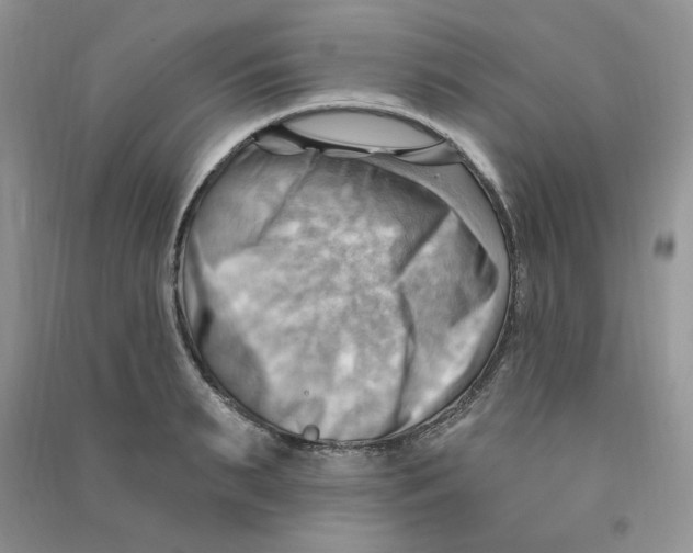 X0000090630895200708141432