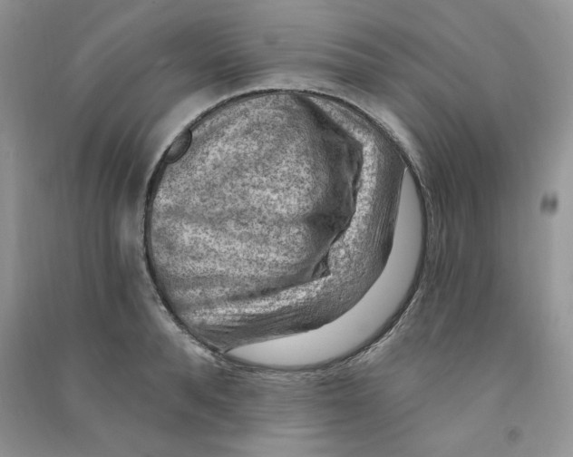 X0000090630896200708141432