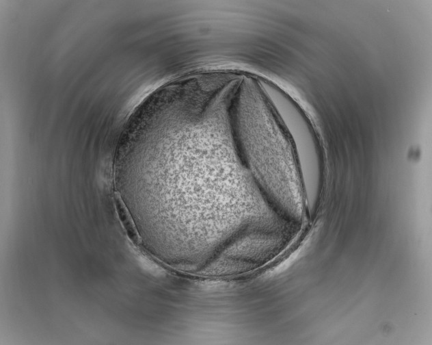 X0000090630897200708141432