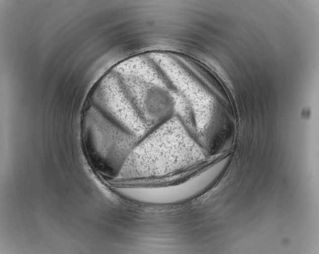 X0000090630898200708141432
