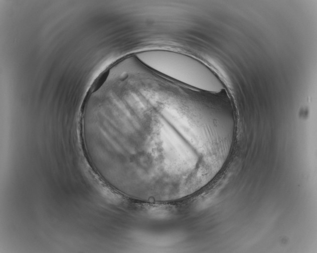X0000090630899200708141432