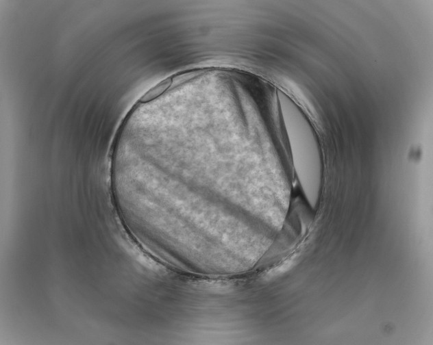 X0000090630900200708141432