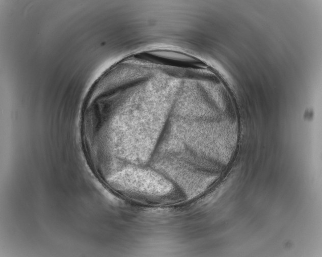 X0000090630902200708141432