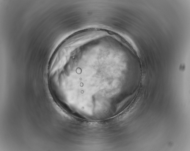 X0000090630903200708141432