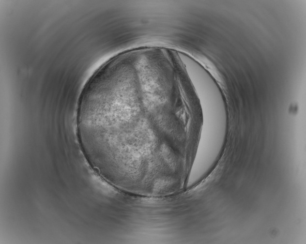 X0000090630904200708141432