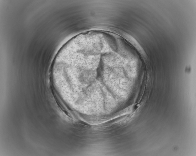 X0000090630908200708141432