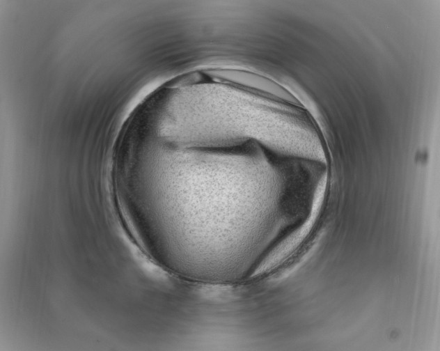 X0000090630909200708141432