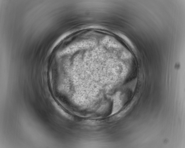 X0000090630910200708141432