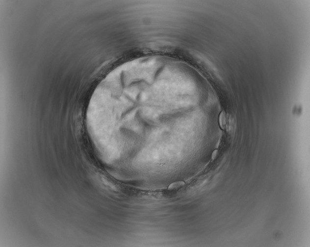 X0000090630915200708141431
