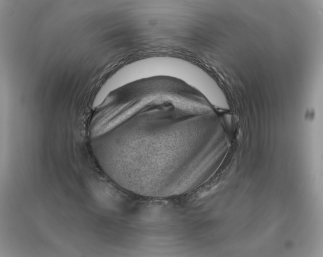 X0000090630916200708141431