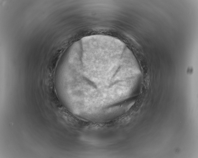 X0000090630917200708141431
