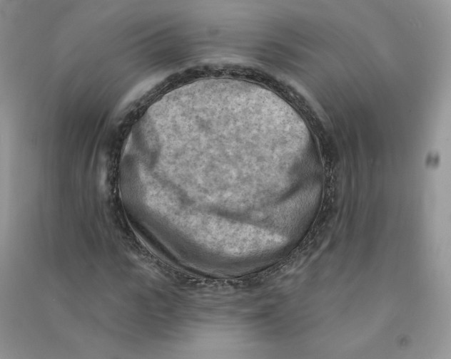 X0000090630919200708141431