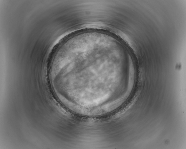 X0000090630923200708141431